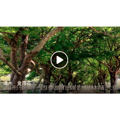 螢幕快照 2019-07-25 17_42_02.png