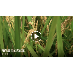 螢幕快照 2019-07-25 09_26_03.png